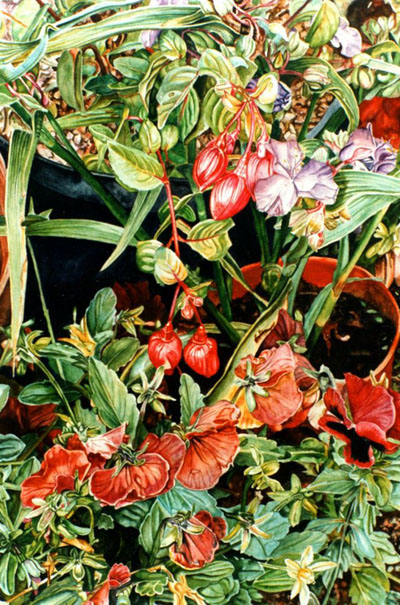 Ref.G08: fuschias with Daisies.